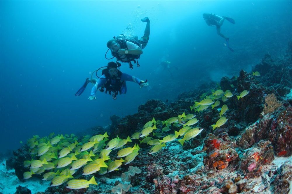 Fern Boquete Inn Hulhumalé Buitenkant foto